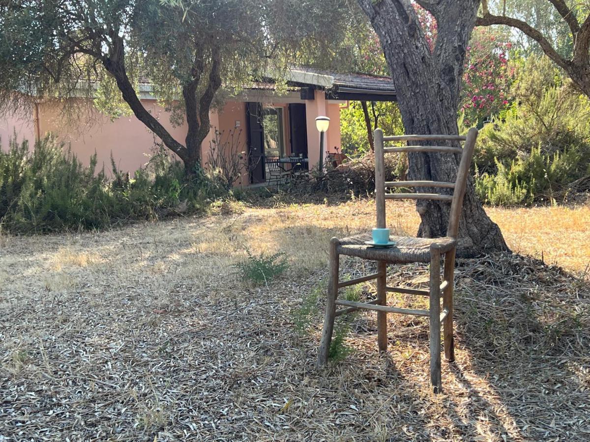 הוילה San Giovanni  Casa Rosmarino מראה חיצוני תמונה