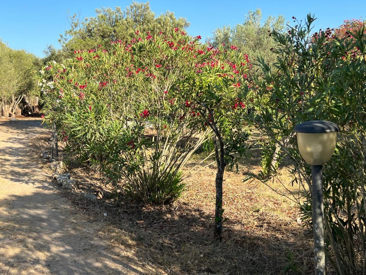 הוילה San Giovanni  Casa Rosmarino מראה חיצוני תמונה